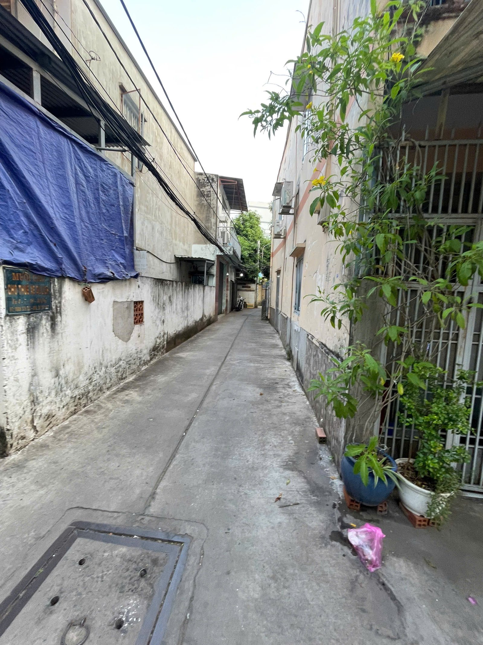 Nhà hẻm 2/ đường Trường Chinh, P.13, Q. Tân Bình - Ảnh 2